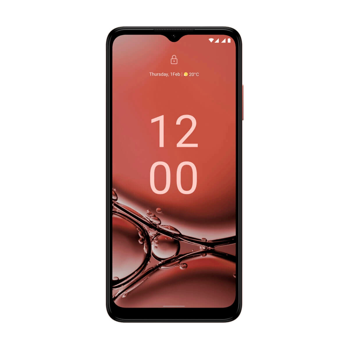 Smartphone Nokia 6,5